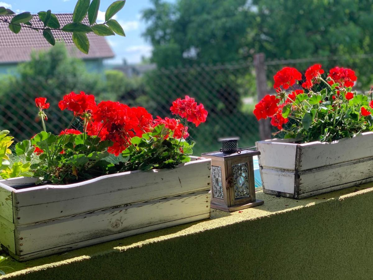 Apartmany Zeleny Dom Подгайська Екстер'єр фото